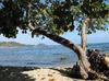 Beach  www.iesq.jw.lt